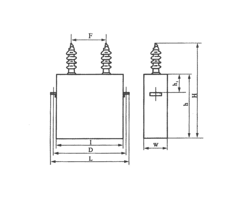 BWF high voltage shunt capacitor